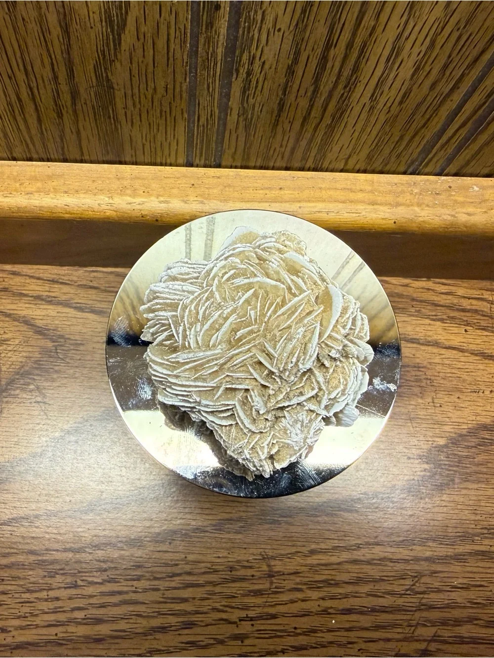 Decorative Desert Rose Sculpture in Cream - Home Accents/ without stand